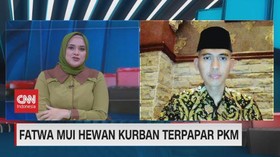 VIDEO: MUI: PMK Pengaruh ke Rukun Hewan Kurban Harus Sehat