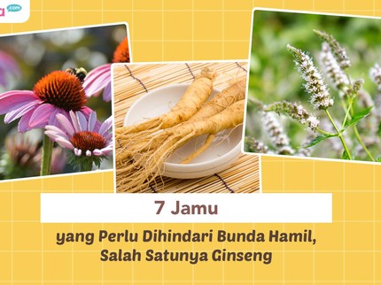7 Jamu yang Perlu Dihindari Bunda Hamil, Salah Satunya Ginseng