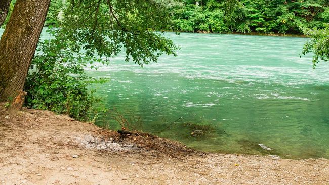 Seorang guru di Swiss, Geraldine Beldi, mengaku melihat-lihat Sungai Aare setiap hari saat hendak mengajar karena berharap menemukan jenazah Eril.