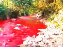 Air Merah Darah di Sungai Cimeta Diduga Pewarna Kain