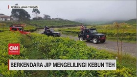VIDEO: Berkendara Jip Mengelilingi Kebun Teh