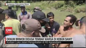 VIDEO: Oknum Brimob Tembak Warga di Kebun Sawit