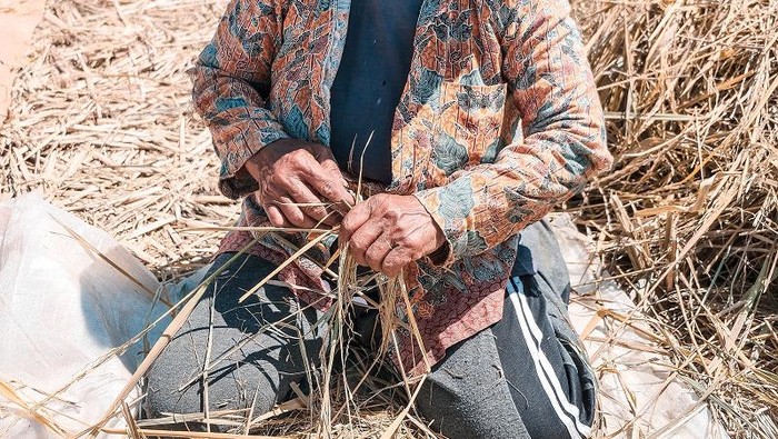 Petani perempuan/ Foto: pexels.com/Bayu Samudro