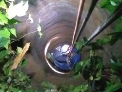 Damkar Bogor Evakuasi 3 Kucing Tercebur ke Sumur, 1 Mati Tenggelam