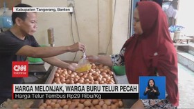 VIDEO: Harga Melonjak, Warga Buru Telur Pecah