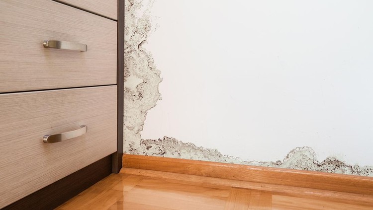 Ilustrasi Dinding Lembap dan Berjamur Mold and moisture buildup on wall of a modern house