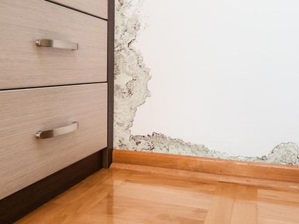 7 Cara Mengatasi Kamar Lembap dan Berjamur agar Bebas Penyakit