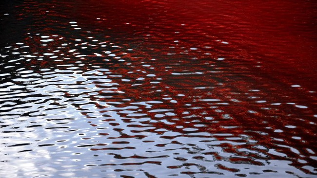 Peristiwa sungai berubah merah seperti di anak Sungai Citarum, Bandung, bukan yang pertama terjadi. Insiden sejenis pernah terjadi di Rusia, Kanada, Slovakia.