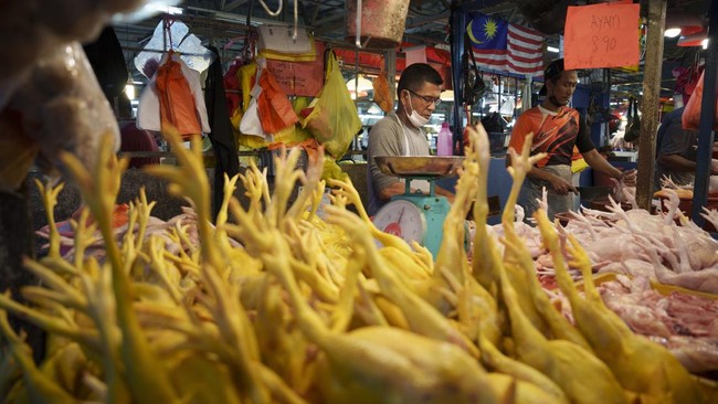 Indonesia akan mengekspor ayam ke Singapura usai Malaysia menyetop pengiriman bahan pangan itu ke luar negeri.