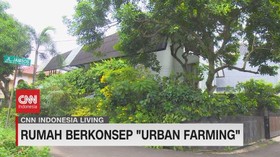 VIDEO: Rumah Berkonsep 'Urban Farming'