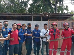 Geger Ular Piton 2,5 Meter Masuk Rumah Warga di Tanjungbalai