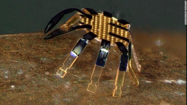 Ilmuwan Northwestern University baru saja membuat robot ukuran mikro yang hanya sebesar kutu.