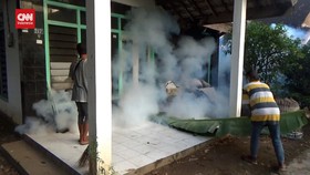 VIDEO: 40 Warga Terserang Virus Chikungunya Di Ponorogo