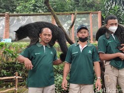 Bincang Santai dengan Trio Keeper Hewan Buas di Bandung