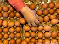 Harga Migor Curah-Cabai Rawit Merah Turun, Tapi Telur Ayam Mahal Nih Bun...