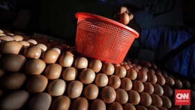 KPPU Teliti Biang Kerok Harga Telur Tembus Rp56 Ribu di Makassar