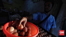 Harga Telur Ayam Rp54 Ribu per Kg di Merauke, Jangan Diributkan?