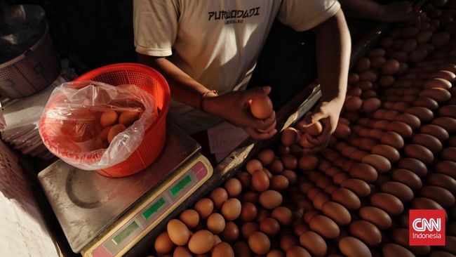 Harga Telur Ayam Turun Rp1.000 di Depok dan Bogor