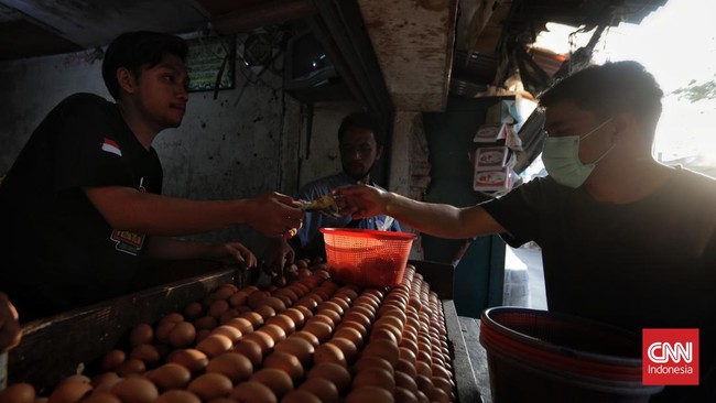 Kemendag akan menemui pelaku usaha peternakan telur ayam untuk berdiskusi soal lonjakan harga telur yang cetak sejarah belakangan ini.