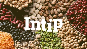 INTIP: 7 Makanan Terlarang Pemicu Asam Urat