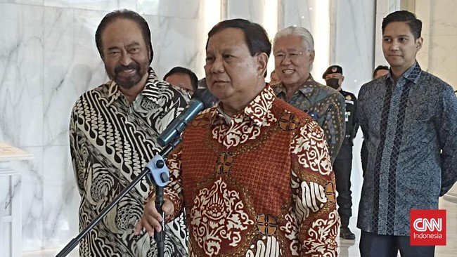 Dahnil Anzar Simanjuntak mengatakan politikus NasDem Zulfan Lindan telah mengarang omong kosong yang merusak hubungan Prabowo Subianto dan Surya Paloh.