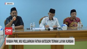 VIDEO: Wabah PMK, MUI Keluarkan Fatwa Kategori Ternak Layak Kurban