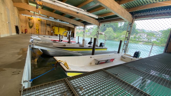 Komunitas Warga di sekitar Sungai Aare, Swiss, ikut membantu mencari anak Gubernur Jawa Barat Ridwan Kamil (RK), Emmeril Kahn Mumtadz, atau Eril.