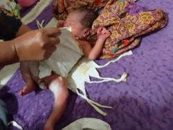 Bayi Masih Hidup Dalam Kardus Ditemukan Pencari Burung di Pasuruan