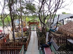 5 Rekomendasi Ekowisata Hutan Mangrove di Gresik untuk Ngabuburit