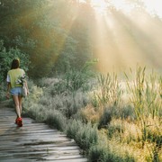 6 Manfaat Forest Bathing, Cara Cerdas Menghilangkan Stres Ala Orang Jepang