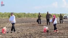 Gaya Iriana Jokowi Pakai Sneaker Mewah saat Tanam Sorgum