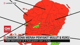 VIDEO: Lombok Zona Merah Penyakit Mulut & Kuku