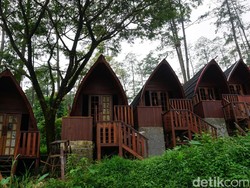 Healing Akhir Pekan Paling Pas Dihabiskan di Rumah Pohon Pacet