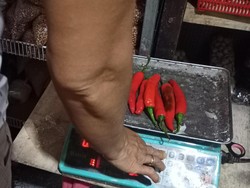 Ini Penyebab Naiknya Harga Cabai Jelang Galungan di Tabanan