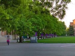 10 Universitas Terbaik di Asia Versi THE AUR 2024, Ada UI dan UGM?