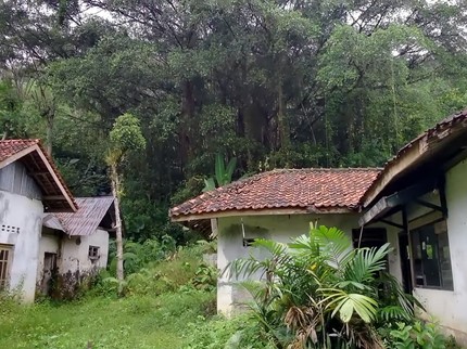 7 Potret Kampung Mati dan Terbengkalai Peninggalan Belanda, Kini Tampak Angker