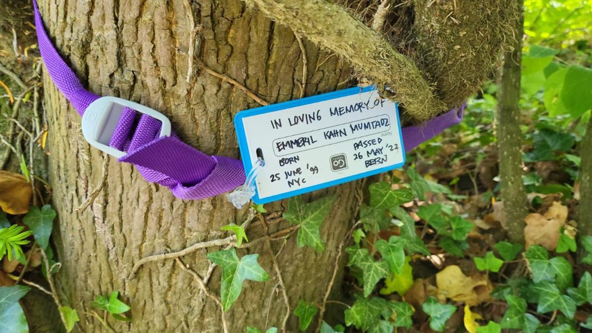 Kartu kecil yang diikat ke batang pohon&period; Kartu tersebut bertuliskan 'In Loving Memory Of Emmeril Kahn Mumtadz&period; Born 25 June '99 NYC&comma; Passed 26 May '22 Bern'&period;