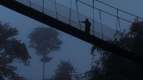 FOTO: Si Penyelamat Anggrek-anggrek Liar