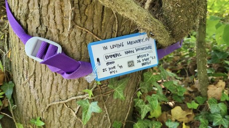 Gubernur Jabar Ridwan Kamil mengaku unggahan kisah tentang putranya merupakan saran dari para ulama, dan kewajiban dirinya sebagai seorang ayah.