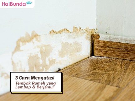 3 Cara Mengatasi Tembok Rumah yang Lembap & Berjamur