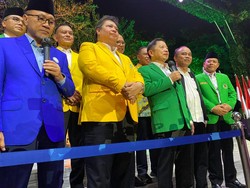 Beda-beda Suara Anggota KIB soal Capres Golkar Fix Airlangga Hartarto