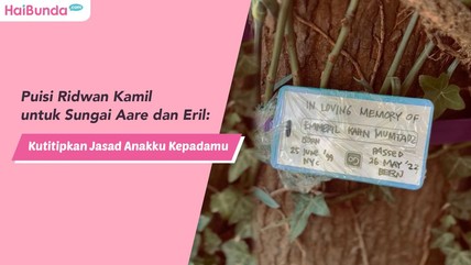 Detik Network