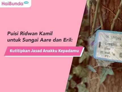 Puisi Ridwan Kamil untuk Sungai Aare dan Eril: Kutitipkan Jasad Anakku Kepadamu