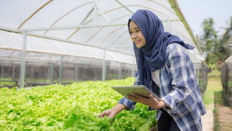 Guru Besar IPB Hermanto Siregar mengajak mahasiswa Politeknik Pembangunan Pertanian (Polbangtan) Medan untuk menjadi pengusaha muda
