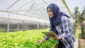 Guru Besar IPB Ajak Mahasiswa Manfaatkan KUR Pertanian