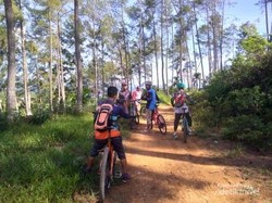 Gowes Menembus Hutan Pinus di Payakumbuh, Seru Abis!