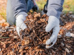 5 Cara Membuat Pupuk Kompos dengan Alat dan Bahan Sederhana, Mudah dan Cepat!