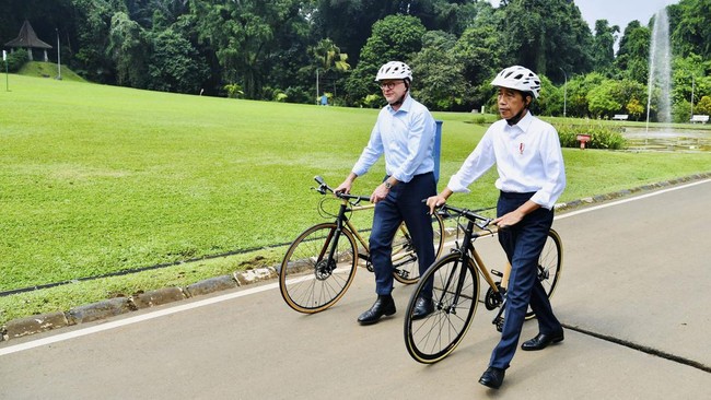 Perdana Menteri Australia Anthony Albanese girang kala mengayuh sepeda bambu bersama Presiden RI Joko Widodo, Senin (6/6).