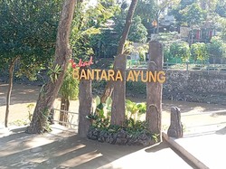 Berwisata di Tukad Bantara Ayung, Bisa Edukasi Tanaman Langka