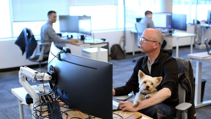 Johan Van Hulle (L-R), Dave McMullen and Bill Dicke hold a meeting with their dogs at Tungsten Collaborative May 5, 2022 in Ottawa, Canada. - According to a recent Leger survey for PetSafe, 51 percent of Canadians support bringing dogs to the office.
Younger workers were the most supportive, with 18 percent of those aged 18 to 24 years saying they would change jobs if their employer refused to allow them to bring their pet to work.
With an estimated 200,000 Canadians adopting a dog or cat since the start of the pandemic in 2020, bringing the nationwide total to 3.25 million, it could force employers now pressing staff to return to the office to consider this option. (Photo by Dave Chan / AFP) (Photo by DAVE CHAN/AFP via Getty Images)